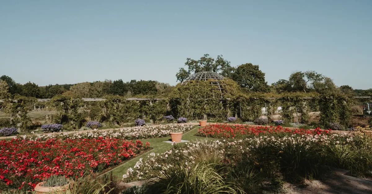 Guide d'achat du meilleur matériel de jardinage économique