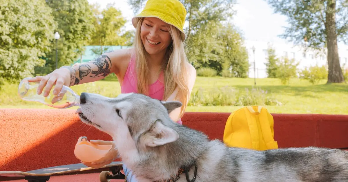 Top Pet Health Supplements for Dogs: Complete Buying Guide