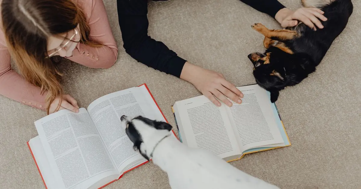 Top Pet Training Books - In-Depth Buying Guide